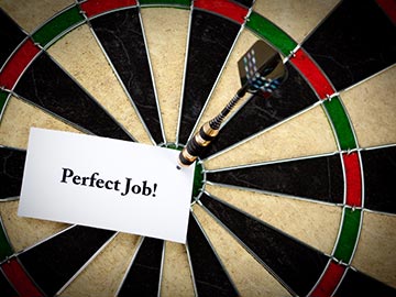 Finding the Perfect Job
