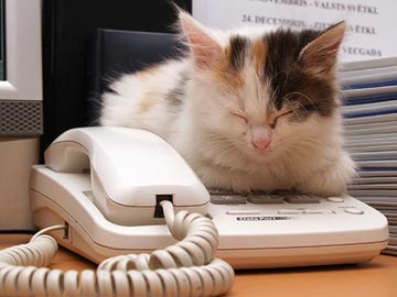 Nine Cover Letter Tips to get you Noticed