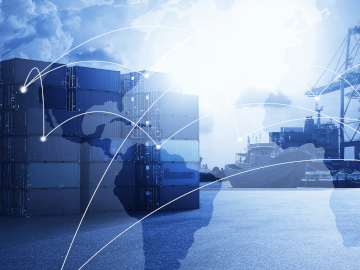 Supply Chains? Supply Web? Supply Matrix? The New Paradigms of Supply Chain